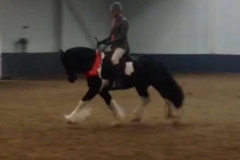 Bring on the music and David Bennet