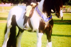 Domino Flashy Lad and Lacey Smith