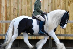 Wally cob and Harry HIbbert