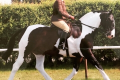Makers Jar Of Hearts and Bronwyn Ward