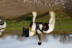 Brittany Robinson and Rocky