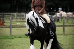 Ellie Taylor and Buddhist Punk