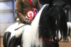 Greateaves Mysterious Girl and david Bennett