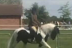 Helena Tucker and Lammerside Leonardo