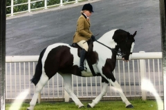 Jodie Evans and Morrows Oreo