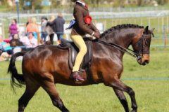 Rebecca Green and Rushfield Limited Edition