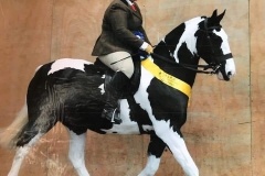 Tina Turner and Penistons Glenbrook Horizon