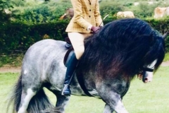 Barclays Blue Boy and Abby Johns