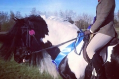 Billy King of the North and Megan Hewitt