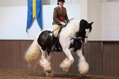 Charly Syndrome and Sarah Field