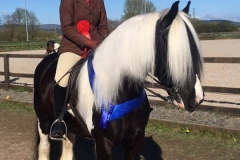 Ellie Taylor and Buddhist Punk