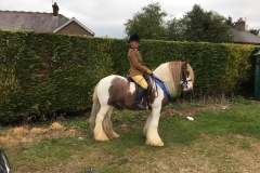 The Dinky Toy and Clare Fitch