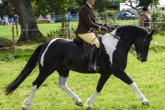 Michelle Pickford and Delfyw Caradog