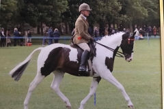 Awesome and William Hibbert