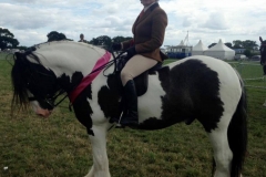 Bogbank Ben and Hannah Donnelly