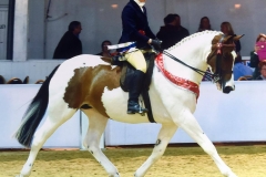 ESH Sempers Sapphire and Terri guyett