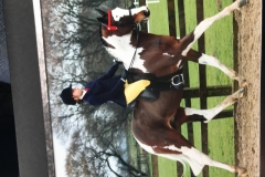 Hannah O’Shea and SOS Rustic Red