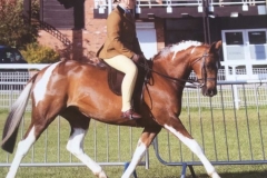 Kai wood and Millpond make mechuckle