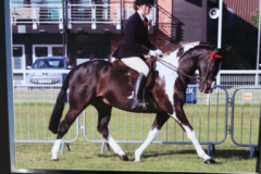 Megan Pritchard and Chelsmoor Rock Star