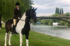 Star dream and Georgia Aungier