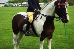 Shannon McCaffrey and Newoak tobago bay