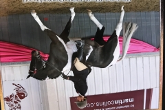 Megan Hewitt and Wychenlea Alice in Wonderland