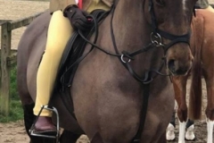 Soffia Cynwyl and Milford Fair Honeybear