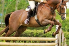 Emily Gaynor-Smith qualified Charlie Chan II