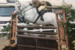 Anna Layfield and Derrygimbla Boy