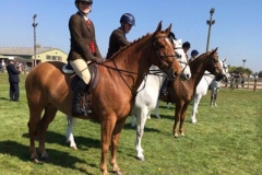 Darcey Parr and Makers Laugh