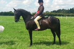 Leila reeves and Wytchwood fun boy