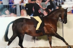 Gryngallt Picture Frame and Eugenie Godfrey-Faussett