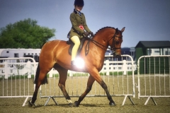 Harriett Dalby and Clemstone Charlston