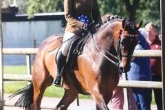 Victoria brooks and Northern Chapter