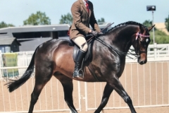 David Bennett and Carrhouse Double Jeopardy