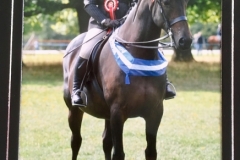 Angela Hesketh and Fielding fairytale