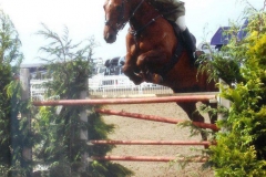 Pebbly Role Model and Charles Richards