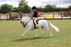 AmyLee-Crutch-and-Llynhelyg-playboy