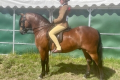Grace-clarke-and-Kingshaugh-hailstorm