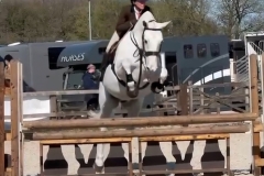 Caroline-Champion-Horse_Pony-Heartthrob