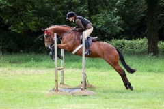 Eliza-Shrimpton-Horse_Pony-Flynns-Girl-