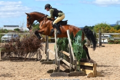 Leah-Donald-Horse_Pony-Redstone-Springtime