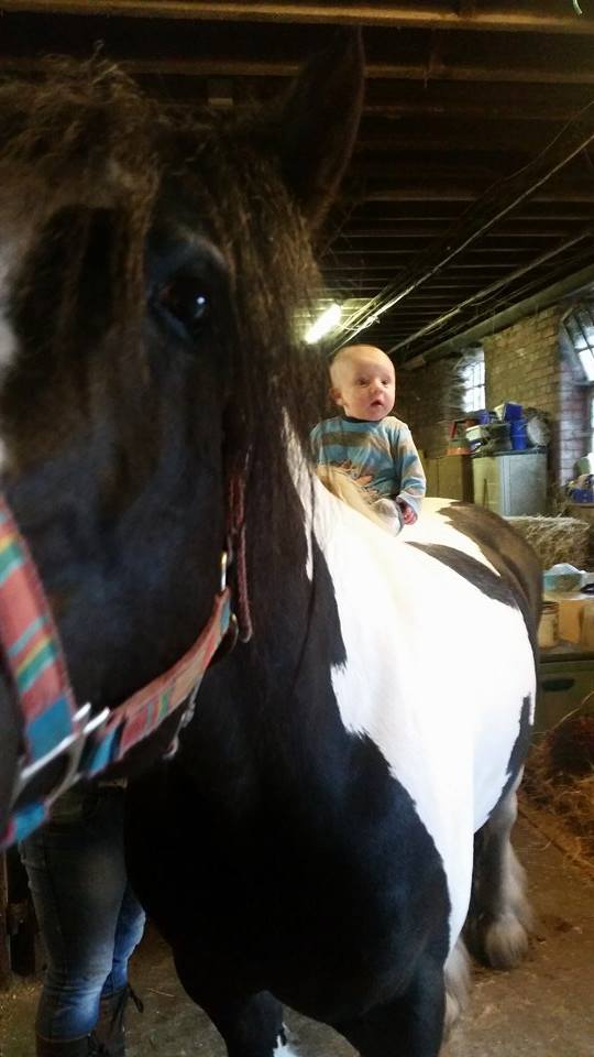 Lucy Thompson rastamouse 1