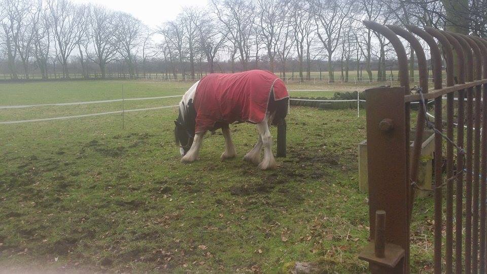 Lucy Thompson rastamouse 2