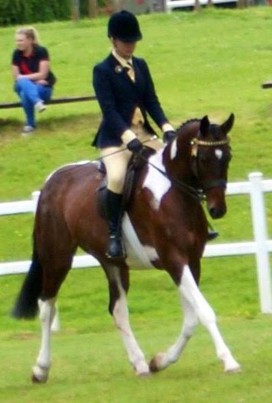 Meadmoor Cheeky Girl and Frankie Currel