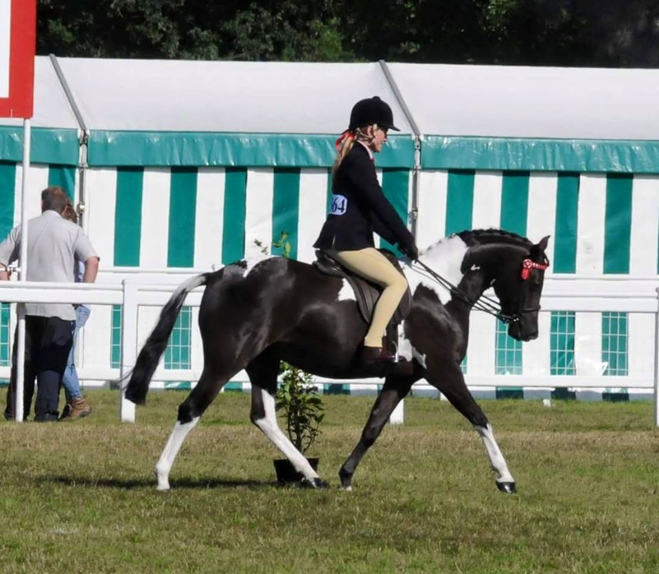 Willow Tarrant riding Lostock Black Velvet