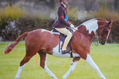 Allandy Gold Spark