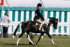 Willow Tarrant riding Lostock Black Velvet