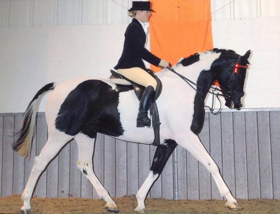 Flying Colours and Elizabeth Canton