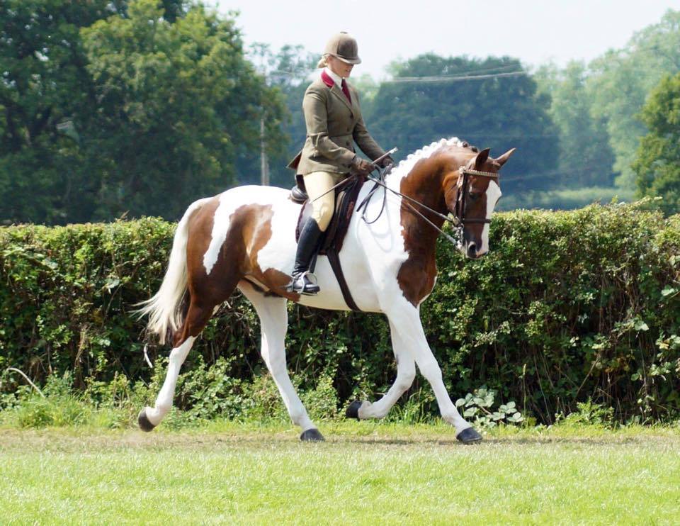 Mill House Adimo Pectore and Kirstie Wright